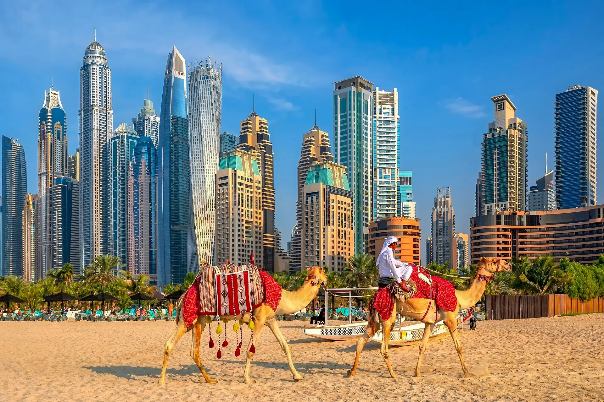 12 viaggi per 12 mesi - Un anno di viaggio