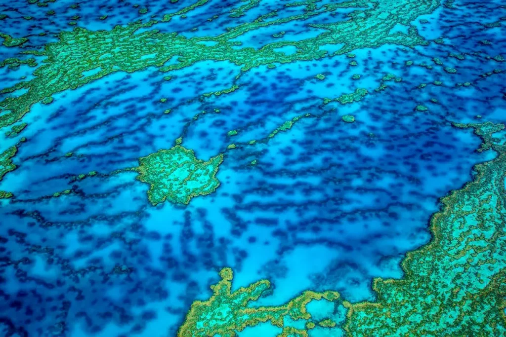 Conclusion The Window Is Closing