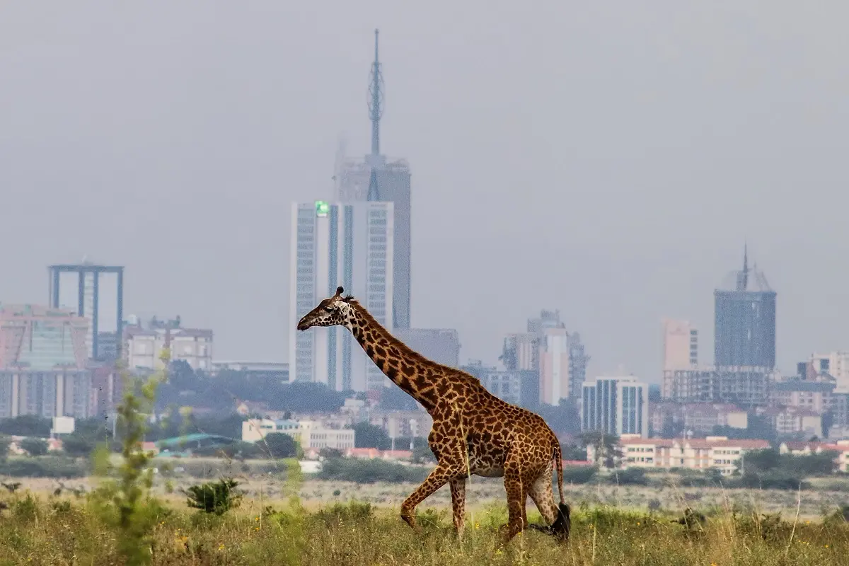 Considerazioni sulla salute e la sicurezza - 12 viaggi per 12 mesi di viaggio all'anno