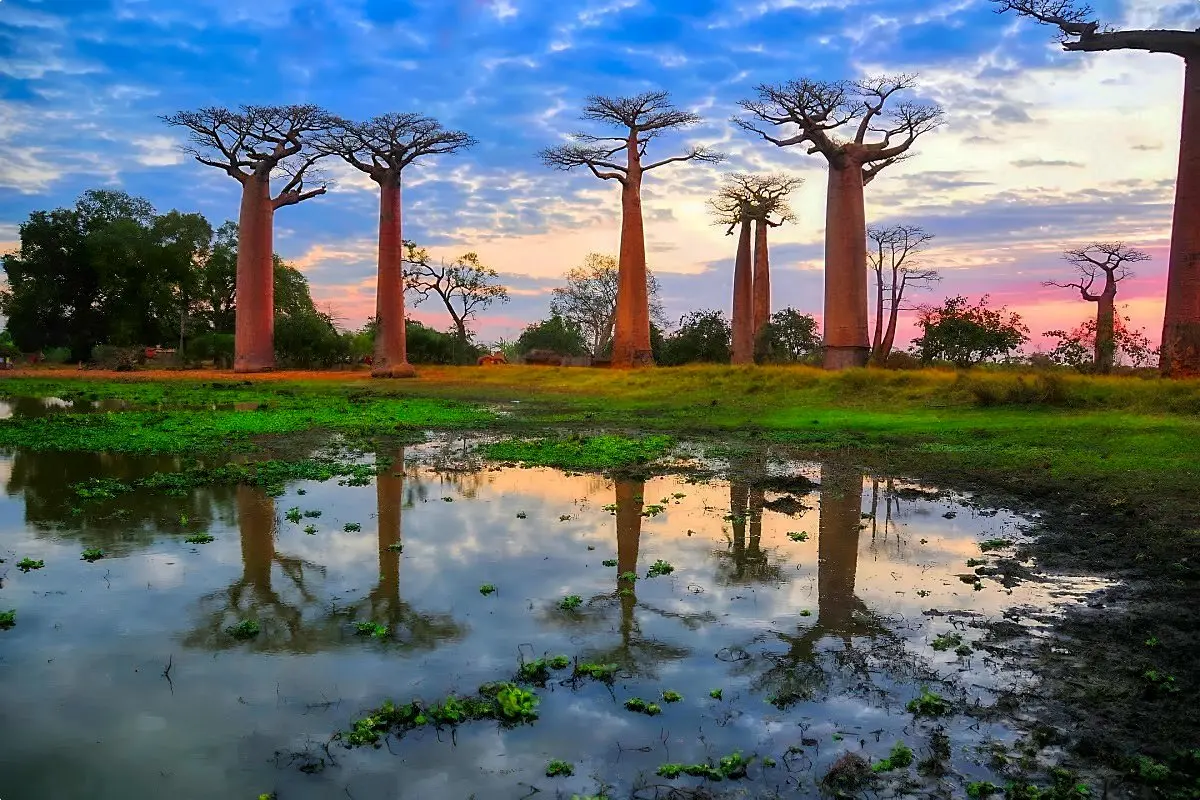 Praktische Planung – Visa, Gesundheit und Sicherheit – 10 unterschätzte Reiseziele, die Sie besuchen sollten, bevor sie populär werden