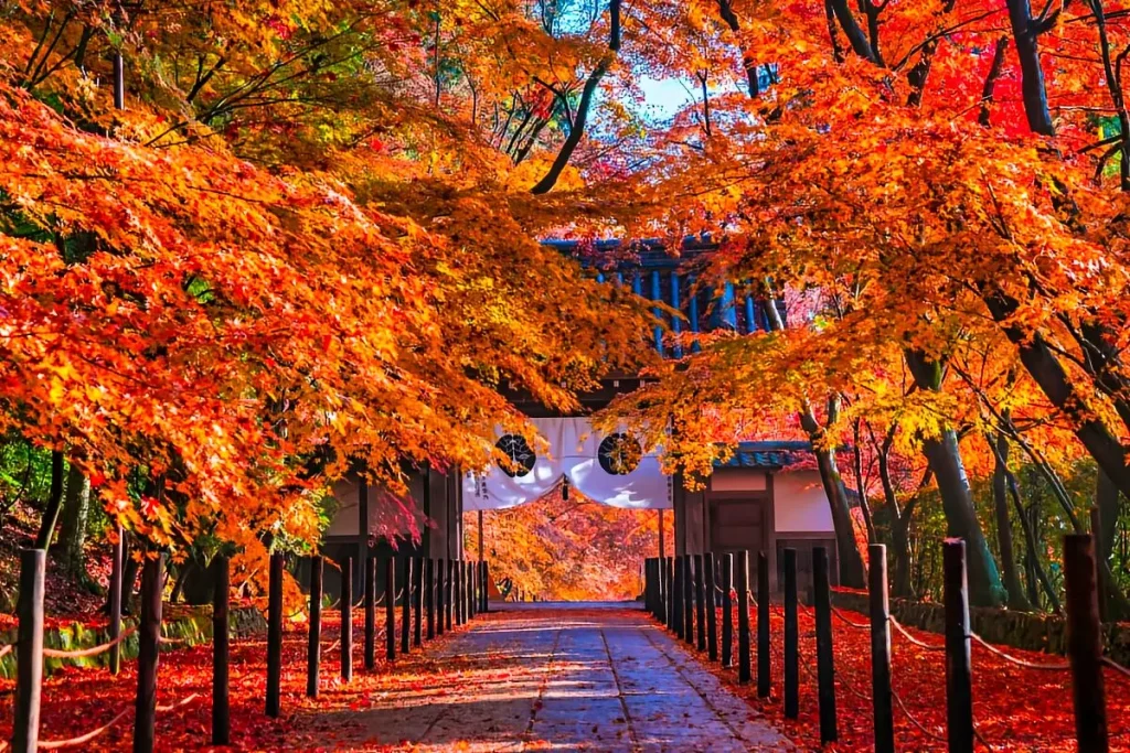 Secret Gardens and Hidden Nature Spots