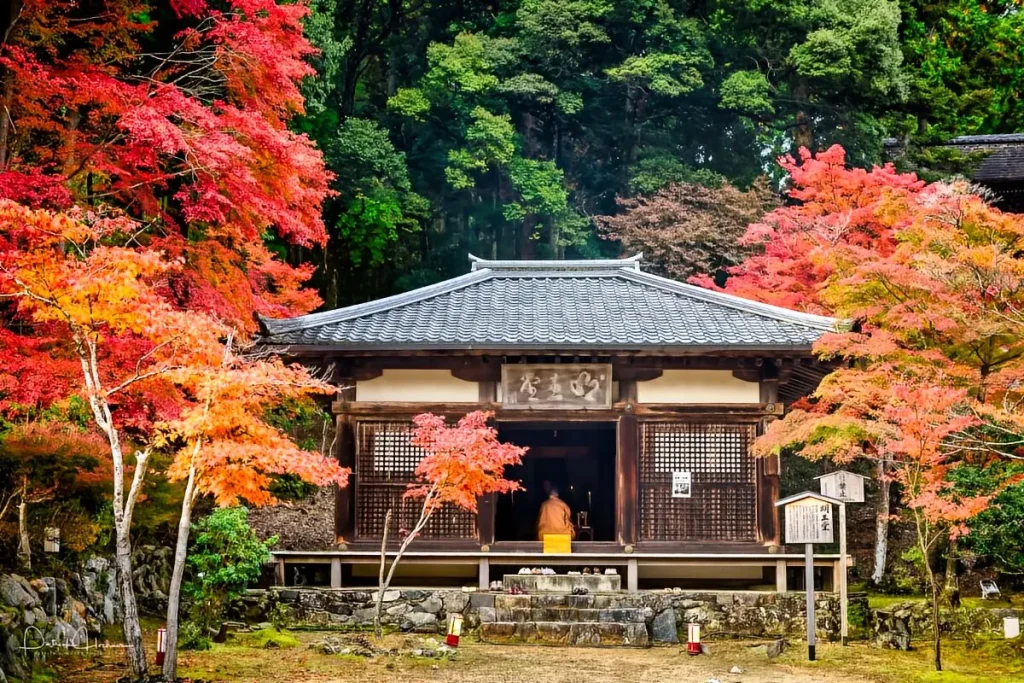 Temple Etiquette Tourists Always Get Wrong