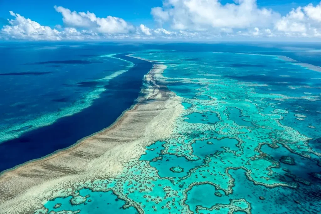 The Great Barrier Reef – 90% Already Bleached