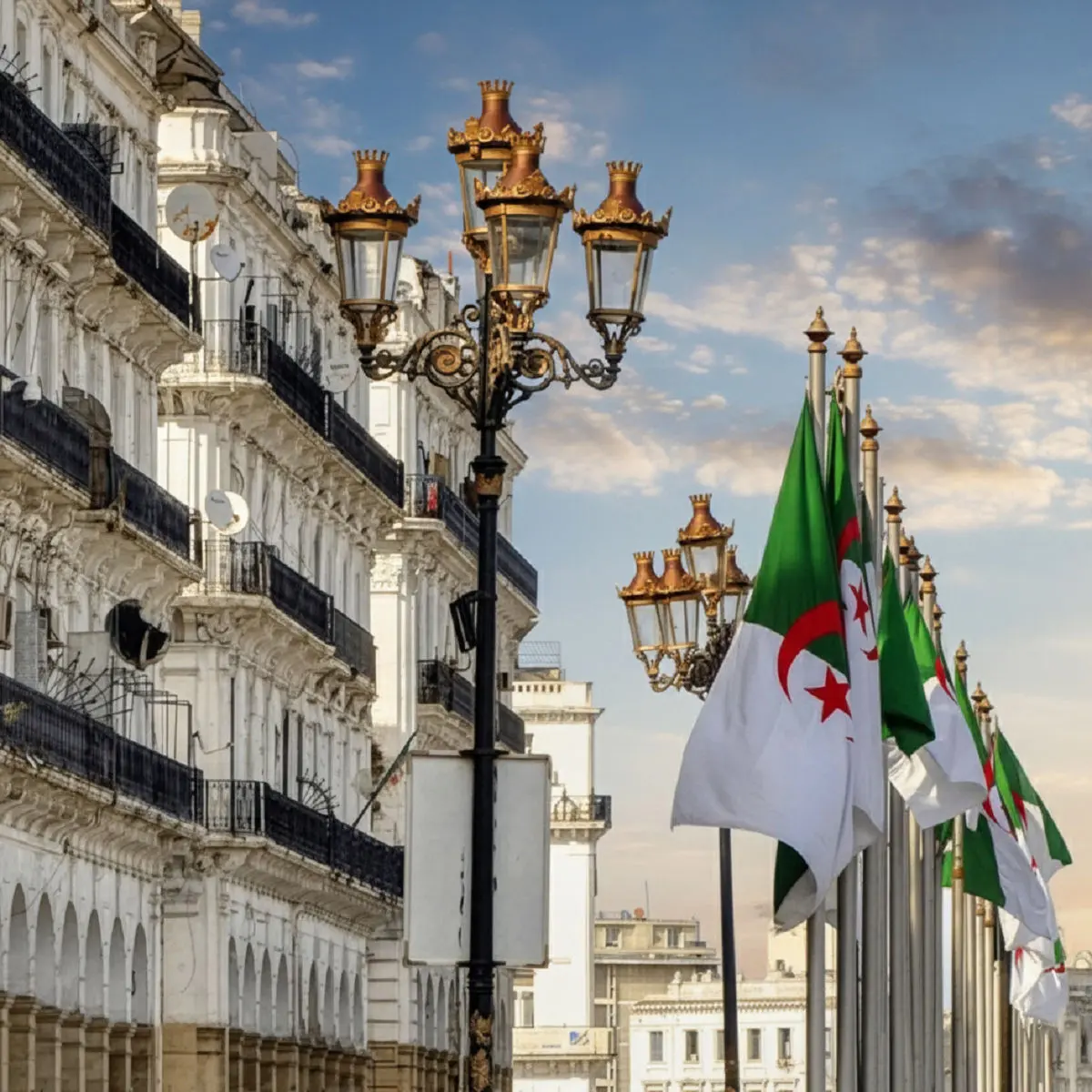 자주 묻는 질문 - 알제 여행 가이드