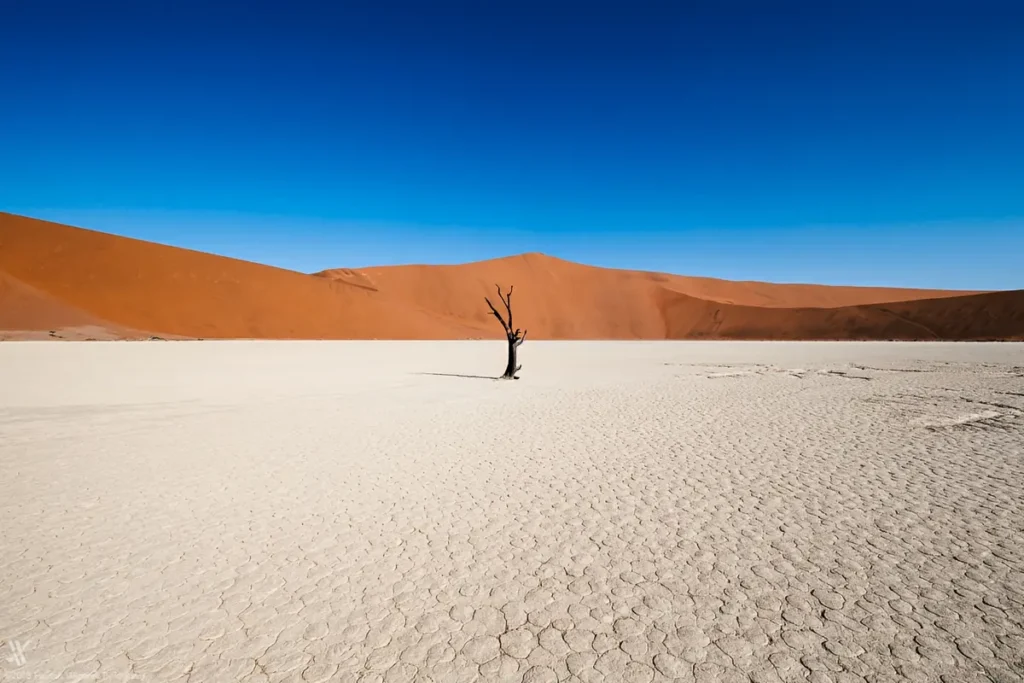 Photography & Filmmaking for Sci-Fi Fans - A Sci-Fi Fan’s Guide to Earth’s Alien Landscapes